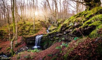 DSCF6371-Pano